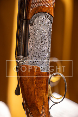 S17_DAV_5548